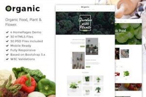 Подробнее о статье Скачайте HTML5 шаблон Organic для магазина и блога | html шаблоны