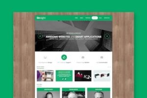 Подробнее о статье Скачайте HTML шаблон Straight для креативных проектов | HTML шаблоны
