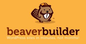 Подробнее о статье Скачайте плагин Beaver Builder PRO для WordPress | Плагины WordPress