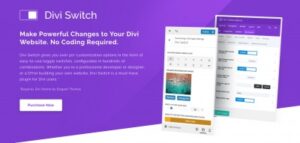 Подробнее о статье Divi Switch — улучшения для Divi | Плагины WordPress