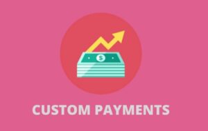 Подробнее о статье WooCommerce Custom Payment Gateway Pro