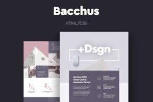 Подробнее о статье Скачайте HTML5 шаблон Bacchus для агентств и портфолио | HTML шаблоны