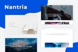 Подробнее о статье Nantria – универсальный адаптивный HTML5-шаблон | HTML шаблоны