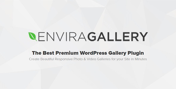 Вы сейчас просматриваете Envira Gallery Pro — лучший отзывчивый плагин для галерей WordPress | Плагины WordPress