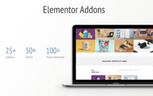 Подробнее о статье Livemesh Addons for Elementor Pro | Плагины WordPress