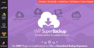 Подробнее о статье Super Backup & Clone — миграция для WordPress | Плагины WordPress