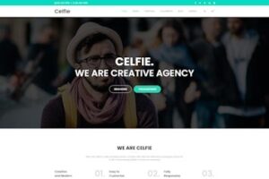 Подробнее о статье Celfie — универсальный многоцелевой HTML5 шаблон на Bootstrap | HTML шаблоны