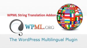 Подробнее о статье WPML String Translation Addons — перевода строк в WordPress | Плагины WordPress