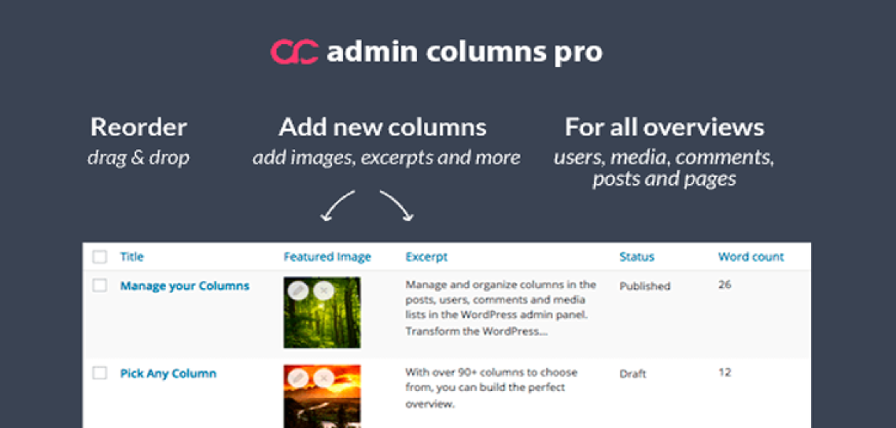 Подробнее о статье Admin Columns Pro — плагин для управления колонками в админ-панели WordPress | Плагины WordPress