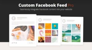 Подробнее о статье Custom Facebook Feed Pro — лента новостей Facebook для WordPress | Плагины WordPress