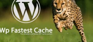 Подробнее о статье WP Fastest Cache Pro — ускоритель сайта | Плагины WordPress