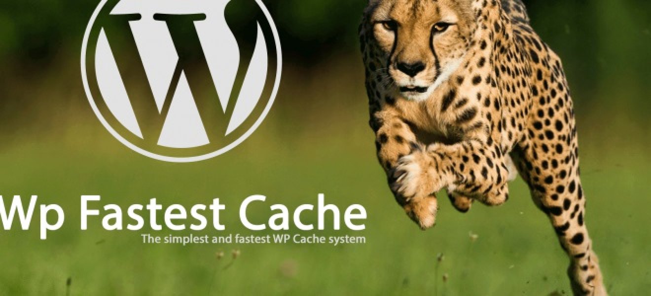 Вы сейчас просматриваете WP Fastest Cache Pro — ускоритель сайта | Плагины WordPress